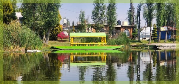 Chinampas: waterways of wealth and traditional knowledge